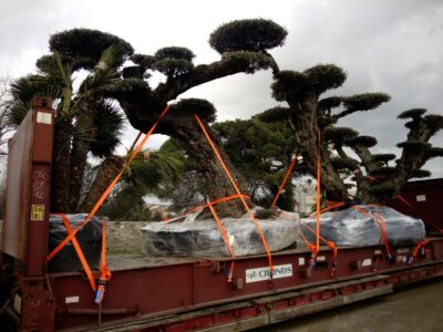 Truck-with-trees-2