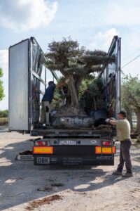 WhatsApp-Image-2019-07-12-at-18.40.46