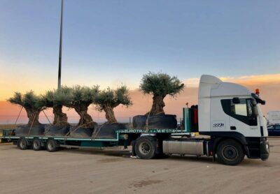 WhatsApp-Image-2019-08-13-at-16.51.46-1