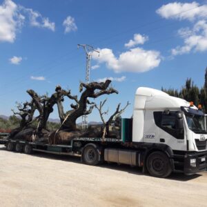 WhatsApp-Image-2019-08-13-at-16.51.46-2