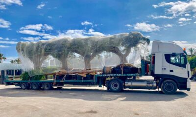 WhatsApp-Image-2019-08-13-at-16.51.46