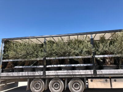 WhatsApp-Image-2019-08-14-at-11.07.35-2