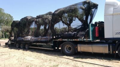 WhatsApp-Image-2019-08-14-at-11.07.35-4