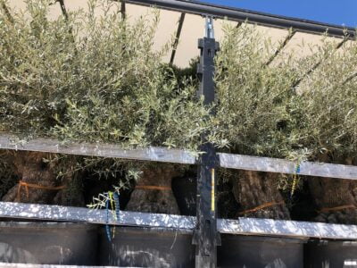 WhatsApp-Image-2019-08-14-at-11.07.35