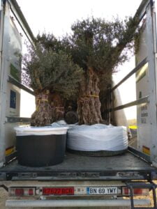 WhatsApp-Image-2019-08-14-at-11.07.36-1