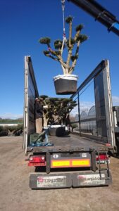 WhatsApp-Image-2019-08-14-at-11.07.36-3