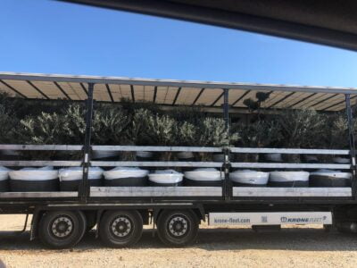 WhatsApp-Image-2019-08-14-at-11.07.36-4