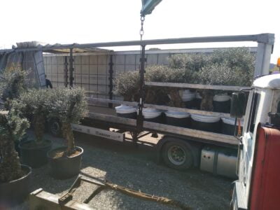 WhatsApp-Image-2019-08-14-at-11.07.36-5