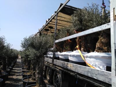 WhatsApp-Image-2019-08-14-at-11.07.36-7