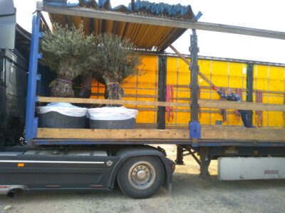 WhatsApp-Image-2019-08-14-at-11.07.37