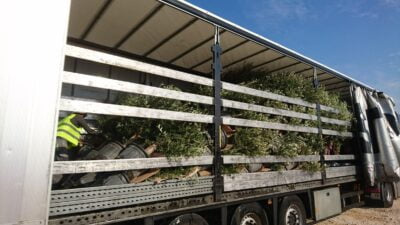 WhatsApp-Image-2019-08-14-at-14.14.08