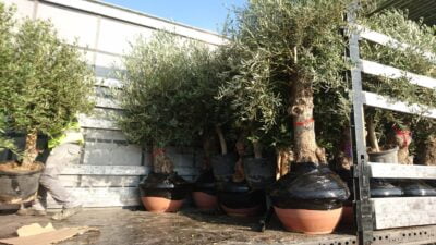 WhatsApp-Image-2019-08-14-at-14.14.12